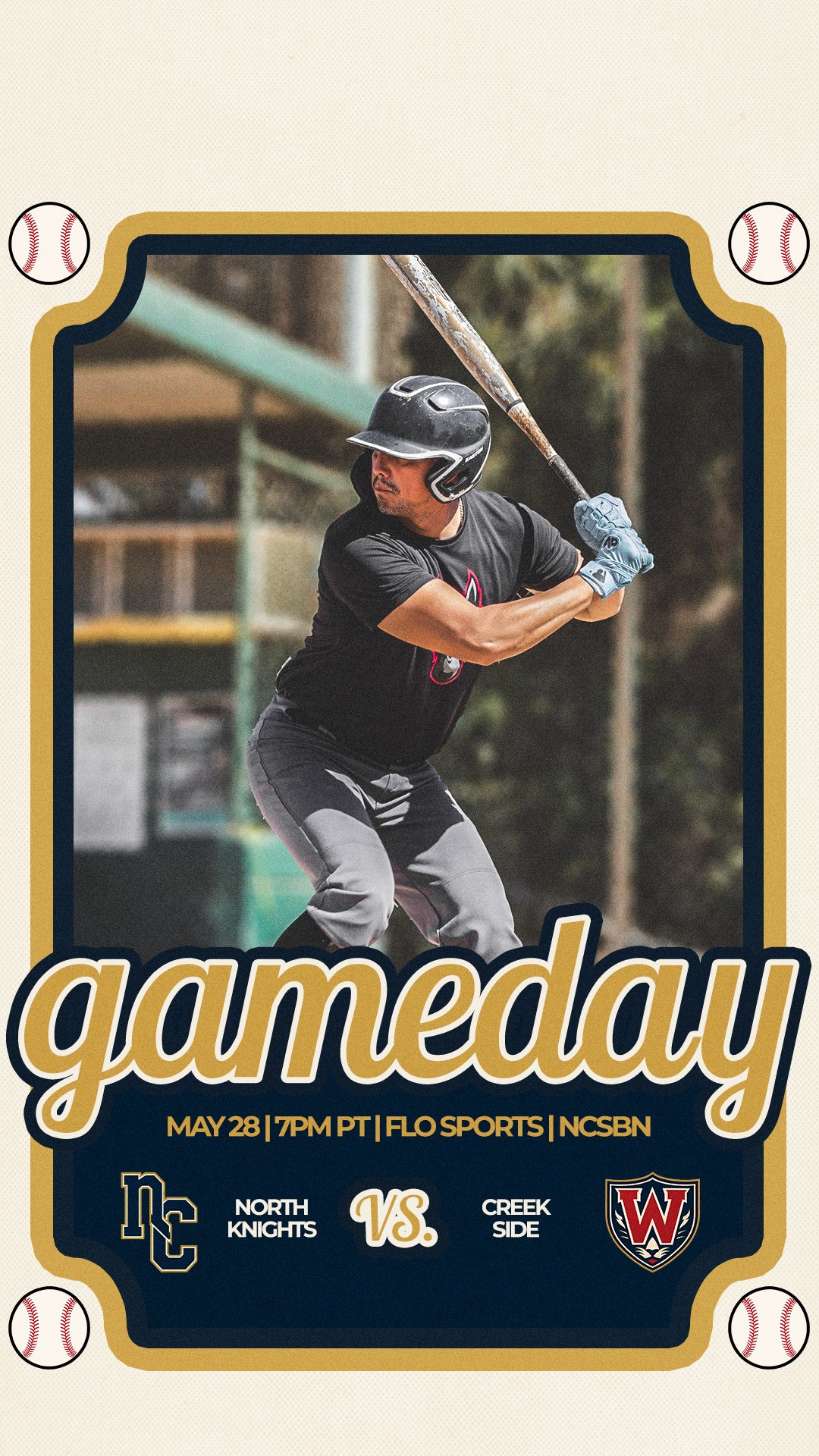 Baseball Game Day, story format